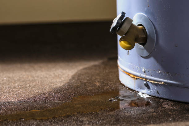 Best Mold removal after water damage  in Isle Of Palms, SC