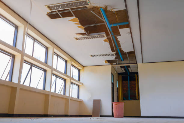 Best Ceiling water damage repair  in Isle Of Palms, SC