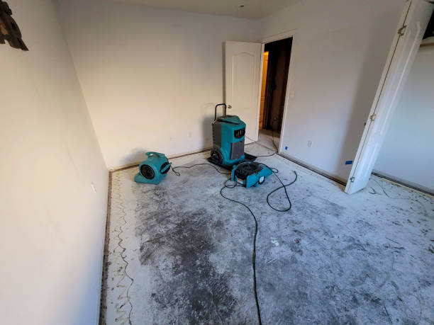 Best 24/7 water damage repair  in Isle Of Palms, SC