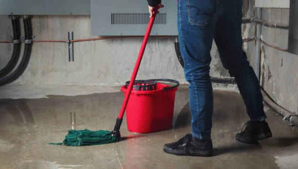 Best Water damage restoration near me  in Isle Of Palms, SC