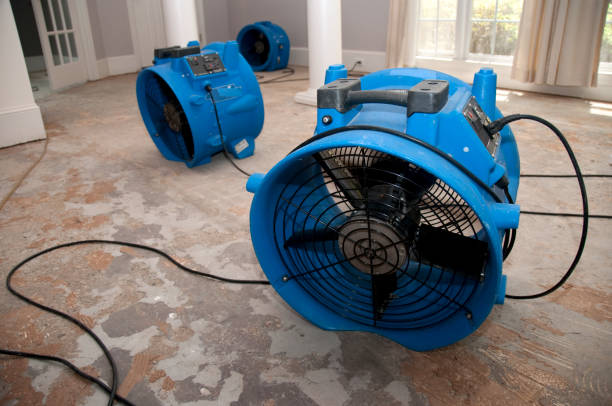 Best Sewage cleanup and water damage restoration  in Isle Of Palms, SC