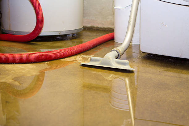 Best Water damage cleanup near me  in Isle Of Palms, SC