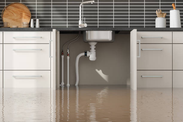  Isle Of Palms, SC Water damage restoration Pros