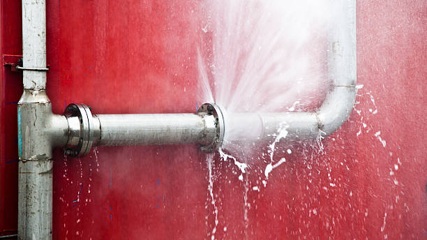 Best Commercial water damage restoration  in Isle Of Palms, SC